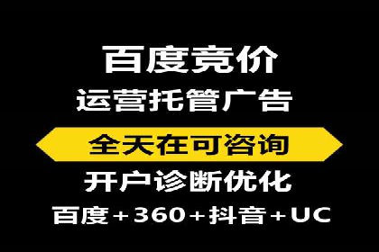 百度SEO推广公司案例精选：助力企业快速崛起